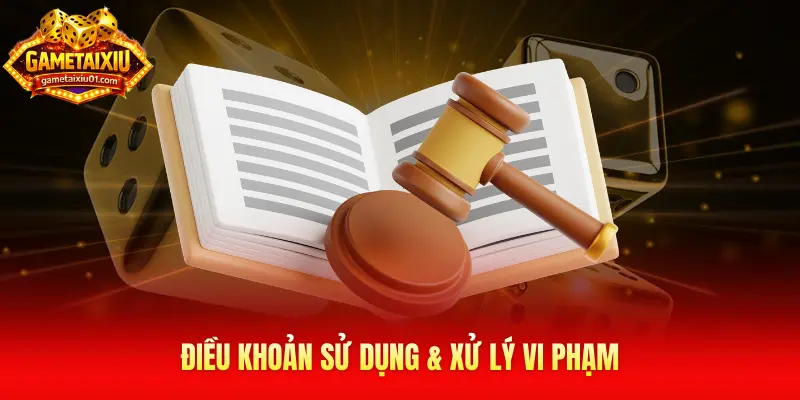 Điều khoản sử dụng & xử lý vi phạm