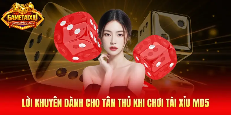 Lời khuyên dành cho tân thủ khi chơi tài xỉu md5
